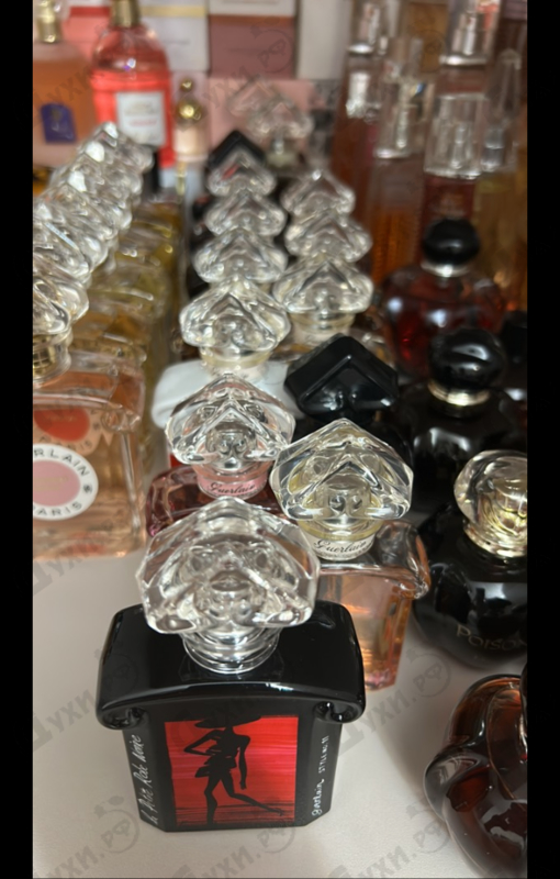 Парфюмерия La Petite Robe Noire Eau De Toilette My Cocktail Dress 2017 от Guerlain