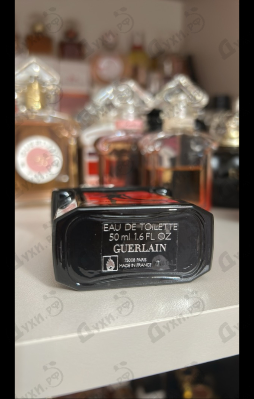 Купить La Petite Robe Noire Eau De Toilette My Cocktail Dress 2017 от Guerlain