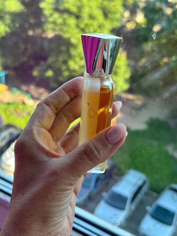 Купить Amour De Palazzo от Jul Et Mad