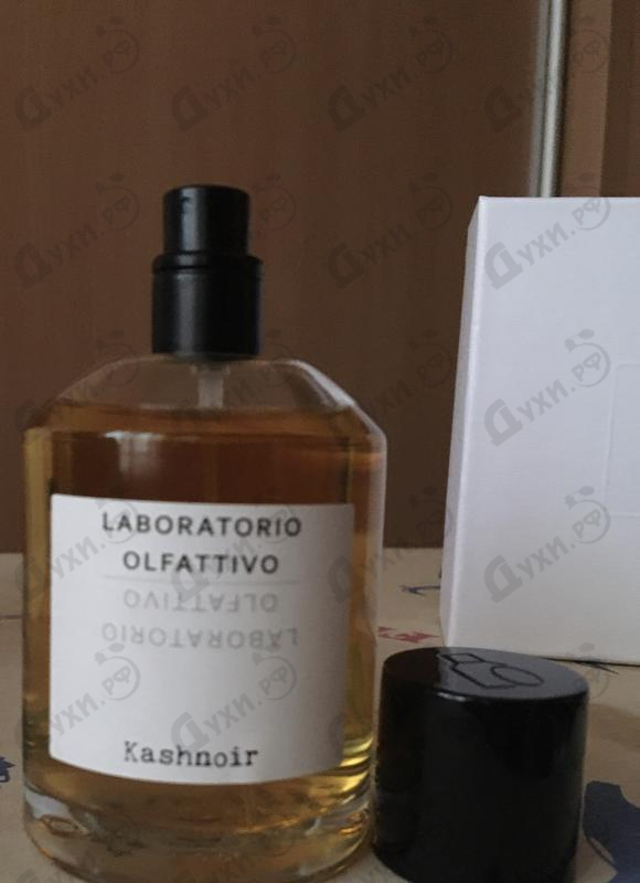 Купить Laboratorio Olfattivo Kashnoir