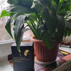 Парфюм Armaf Club De Nuit Intense