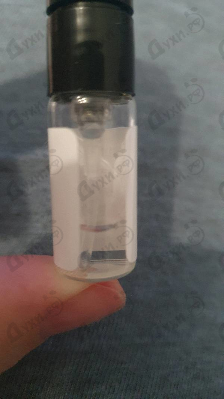 Купить Jeanne Arthes Cassandra Roses Blanches