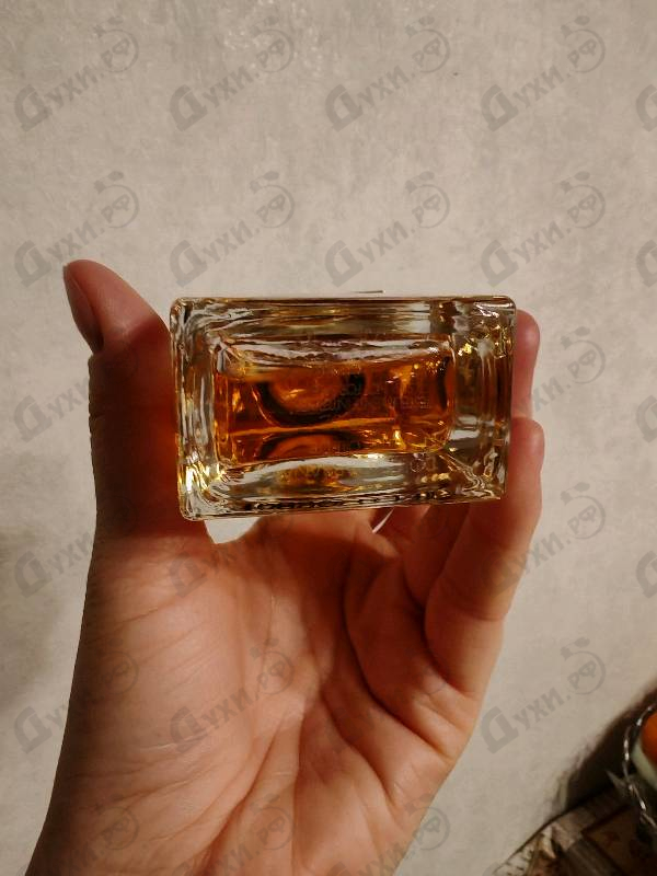 Отзывы Dolce & Gabbana The One Baroque