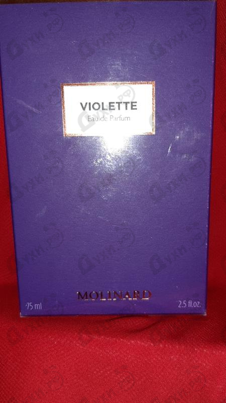 Купить Molinard Violette