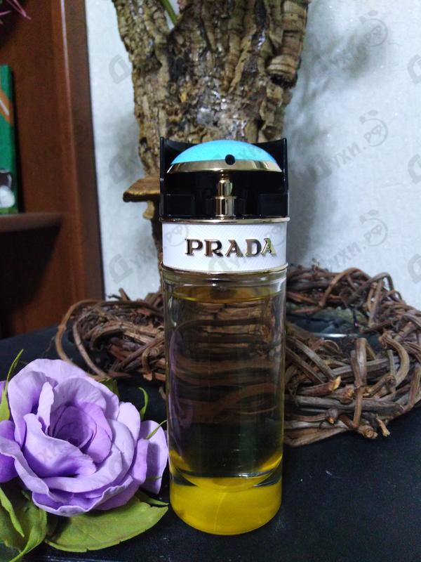 Отзывы Prada Prada Candy Sugar Pop Парфюмерия Prada Candy Sugar Pop от Prada