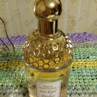 Отзывы Guerlain Aqua Allegoria Rosa Rossa