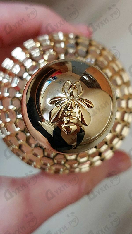 Купить Aqua Allegoria Rosa Rossa от Guerlain