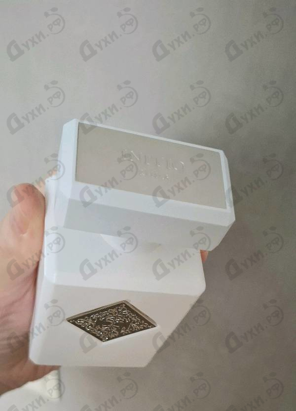 Купить Rehab от Initio