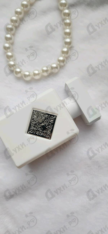 Купить Initio Rehab