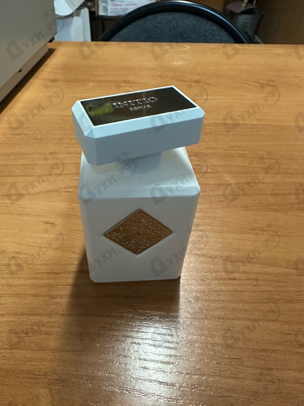 Купить Initio Rehab