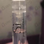 Духи Si Passione от Giorgio Armani