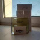Отзыв Loewe Solo Loewe Origami
