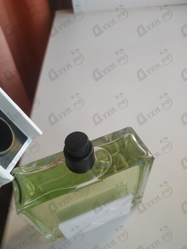 Отзыв Loewe Solo Loewe Origami