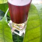 Парфюм Nasomatto Nudiflorum