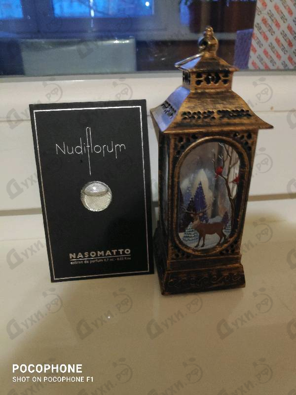 Купить Nasomatto Nudiflorum