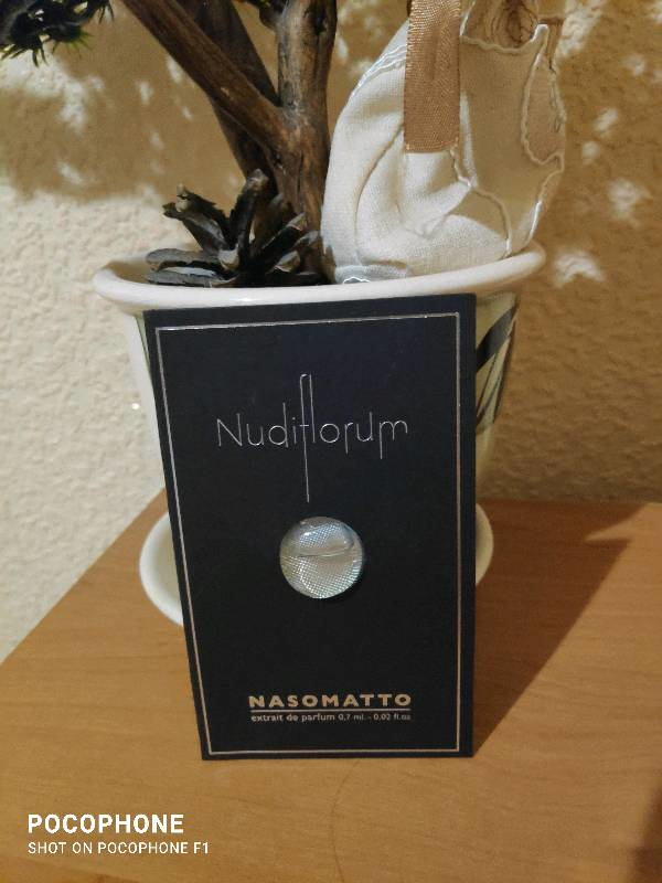 Купить Nudiflorum от Nasomatto