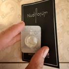 Отзывы Nasomatto Nudiflorum