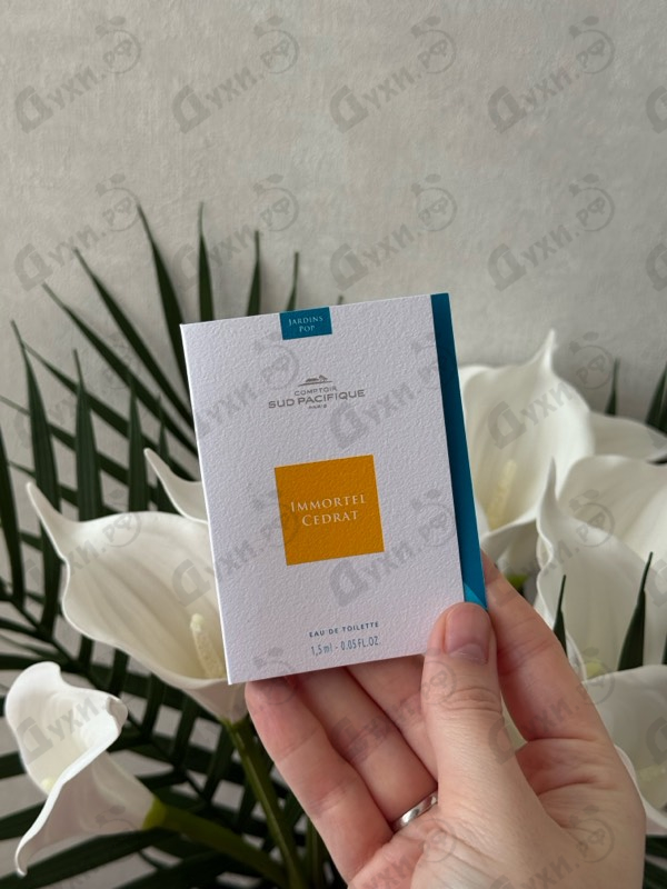 Купить Immortel Cedrat от Sud Pacifique