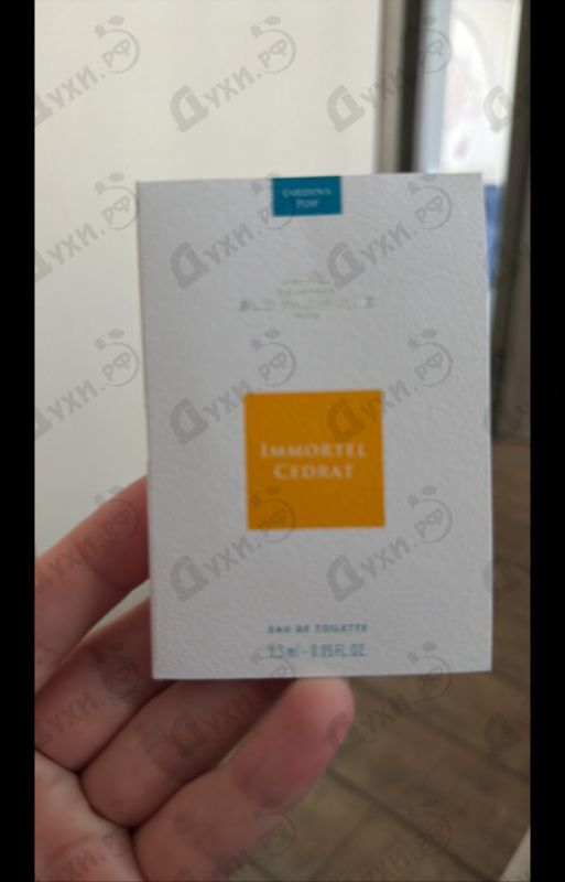Купить Sud Pacifique Immortel Cedrat