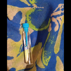 Отзывы Sud Pacifique Musc & Roses