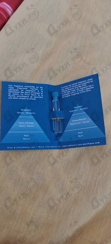 Купить Pomelo Fizz от Sud Pacifique