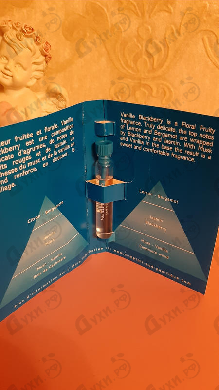 Парфюмерия Vanille Blackberry от Sud Pacifique Купить Sud Pacifique Vanille Blackberry