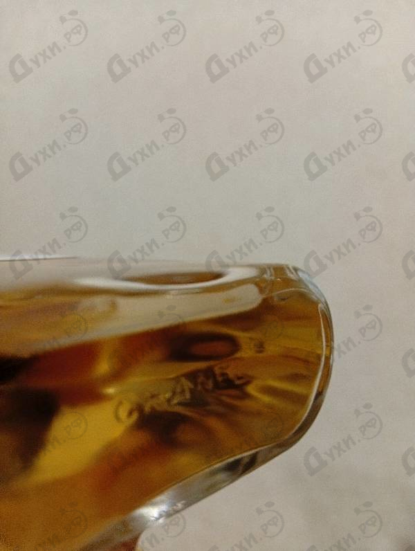 Купить Chanel Paris - Venise