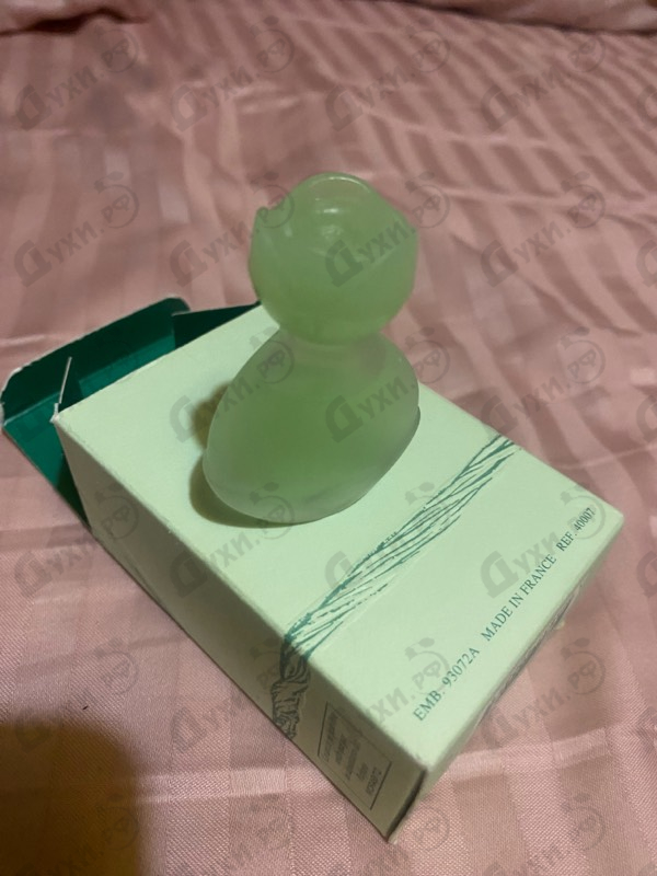 Купить Miss от Morabito