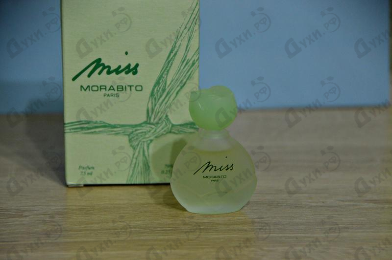 Купить Miss от Morabito