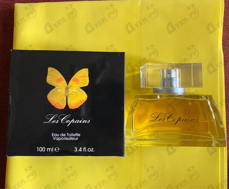 Парфюм Les Copains Papillon Купить Papillon от Les Copains