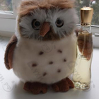 Парфюм Rasasi Chastity