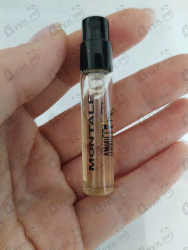 Отзывы Montale Vanilla Cake
