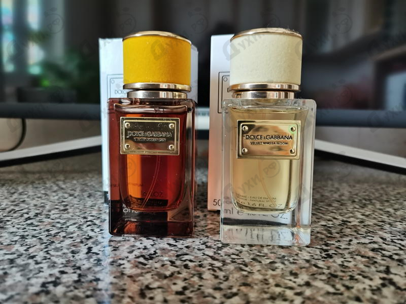 Купить Velvet Amber Skin от Dolce & Gabbana