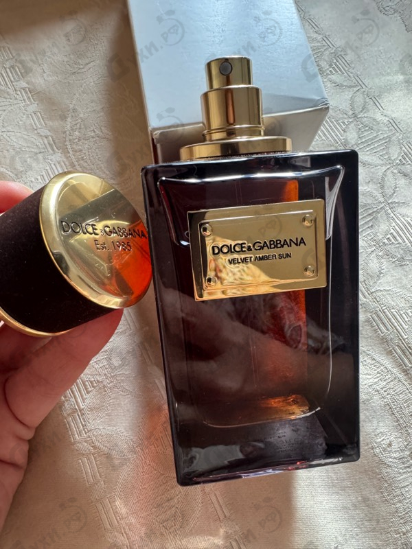 Купить Velvet Amber Sun от Dolce & Gabbana