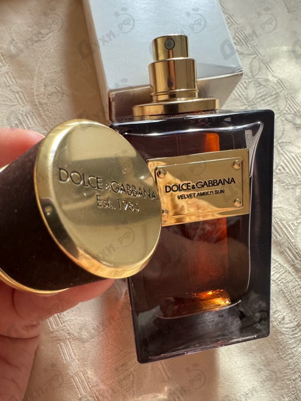 Купить Velvet Amber Sun от Dolce & Gabbana