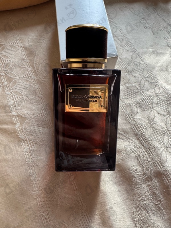Отзывы Dolce & Gabbana Velvet Amber Sun