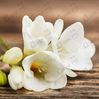 Отзыв Sue Wong Magic