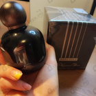 Отзывы The Vagabond Prince Bass Solo