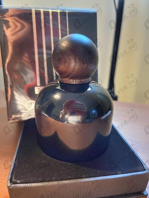 Купить The Vagabond Prince Bass Solo Парфюмерия Bass Solo от The Vagabond Prince