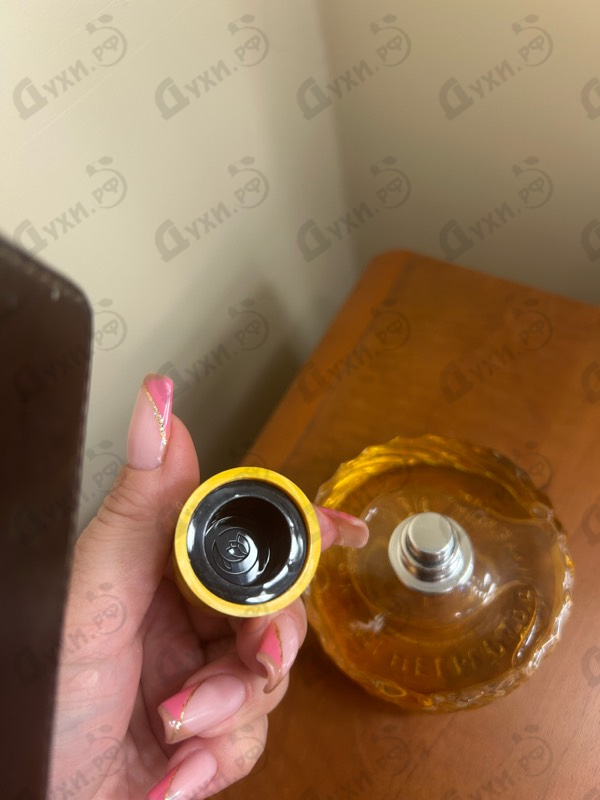 Парфюмерия Poets Of Berlin от Vilhelm Parfumerie