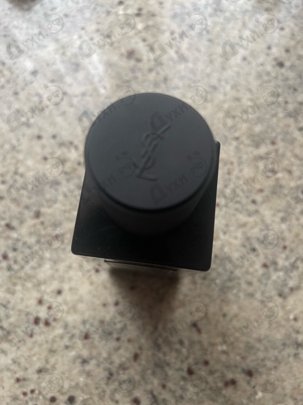 Купить Yves Saint Laurent 24 Rue De L'universite