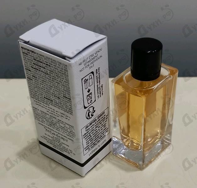 Купить Tuxedo от Yves Saint Laurent