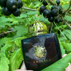 Отзывы Amouage Imitation