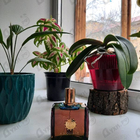 Отзывы Amouage Imitation