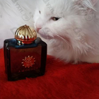 Отзывы Amouage Imitation