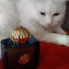 Отзыв Amouage Imitation