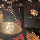 Отзывы Amouage Imitation