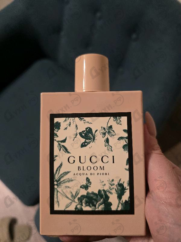 Купить Gucci Gucci Bloom Acqua Di Fiori