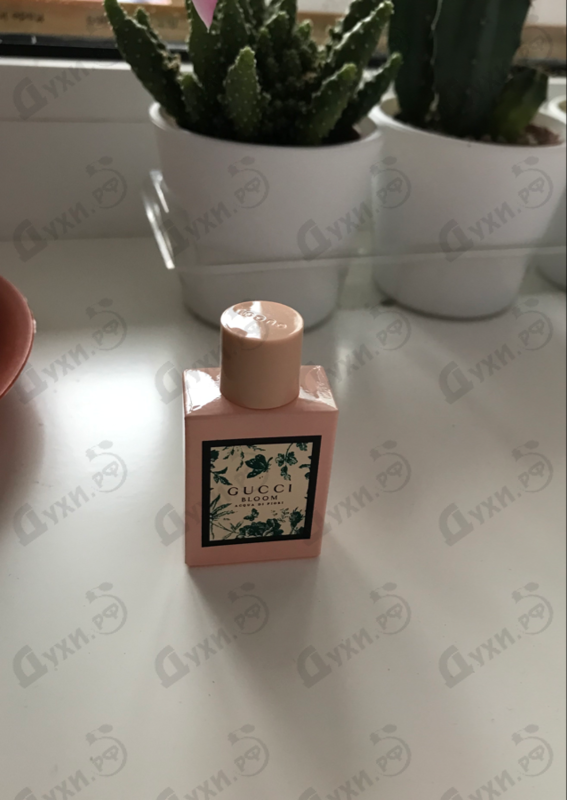 Купить Gucci Bloom Acqua Di Fiori от Gucci