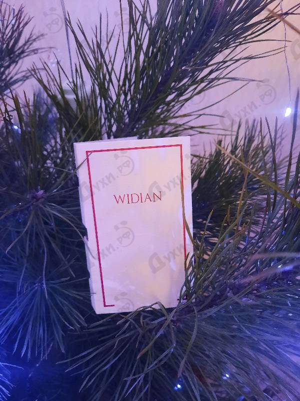 Купить Hili от AJ Arabia Купить AJ Arabia Hili